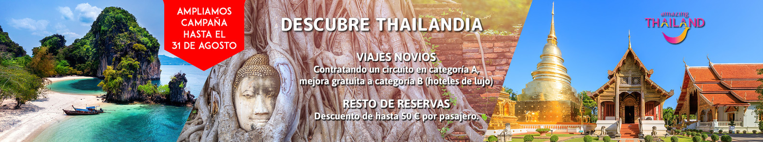 Banner Thai Ciber   Ampl